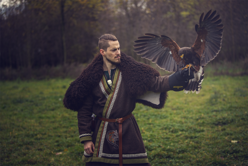 viking costume falcon